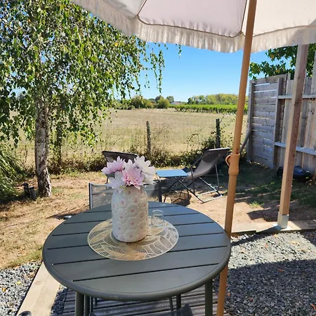 Cosy Avec Option Jacuzzi Apartment